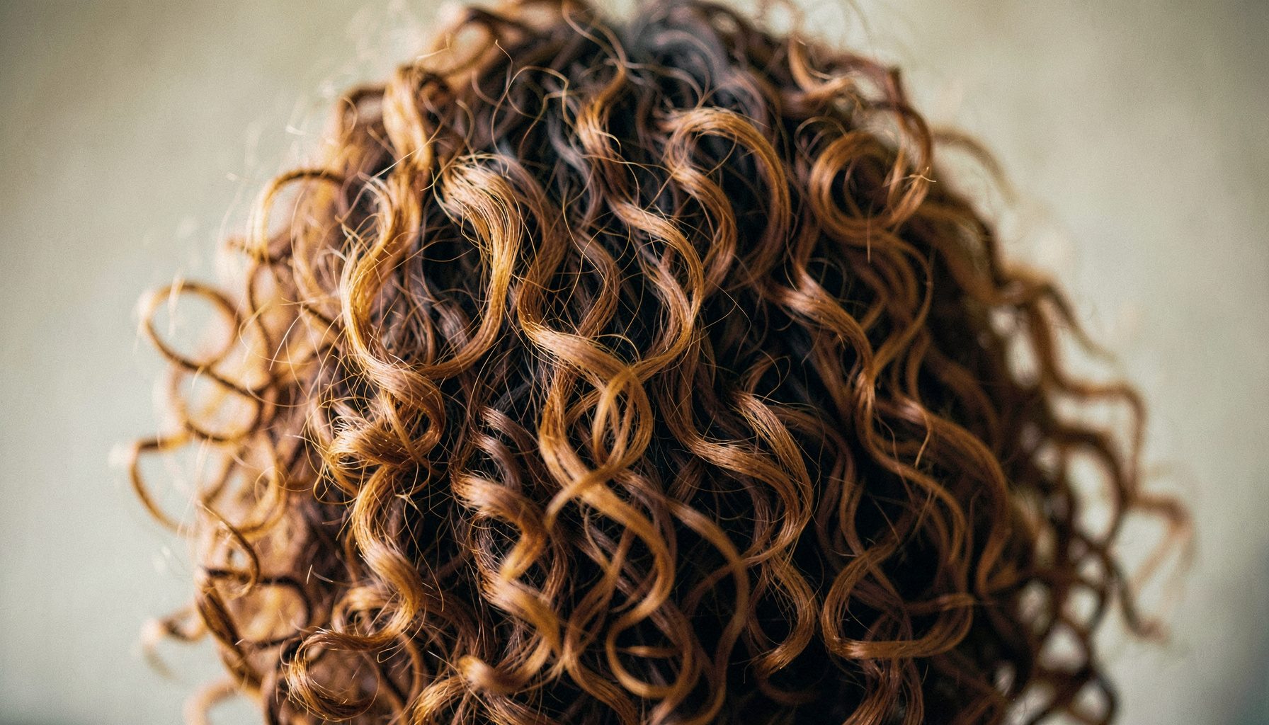 Warm editorial close-up of softly tousled curly hair with honey and chestnut tones, shallow depth of field against a neutral blurred backdrop